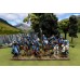 Sergeants at Arms
