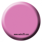 Squid Pink 72013