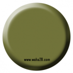 Camouflage Green 72031