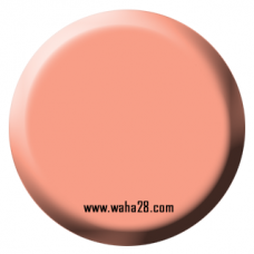 Rosy Flesh 72100